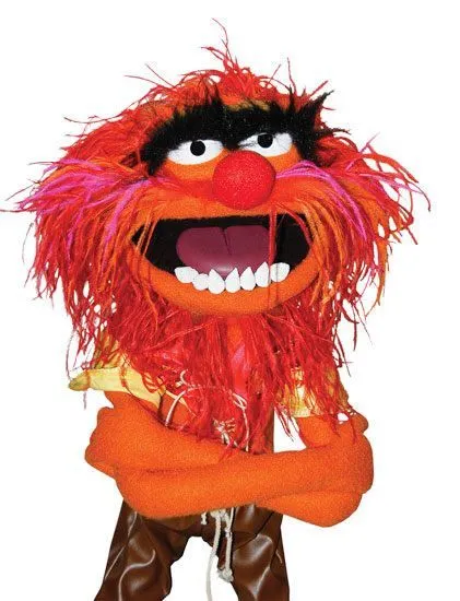Muppets on Pinterest | The Muppets, Miss Piggy and Kermit Muppets on Pinterest | The Muppets, Miss Piggy and Kermit
