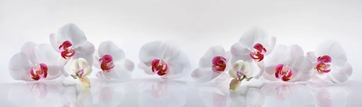 Cuadros y lienzos a medida flores Pag 18