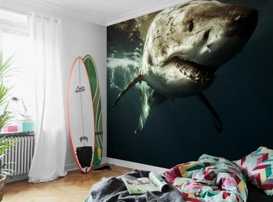 Murales para habitaciones juveniles | Decoideas.Net