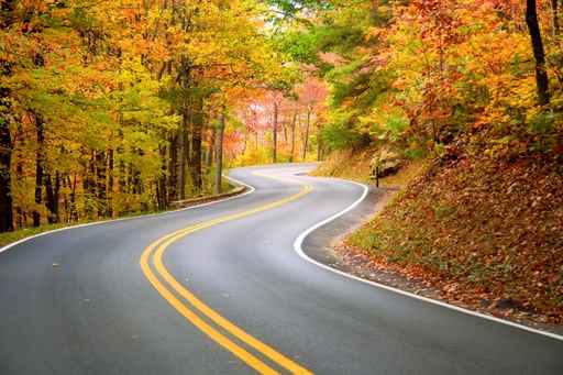 Murales Paisajes Carretera Otoño