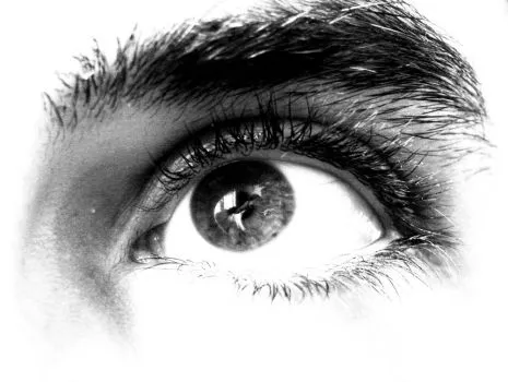 muralesyvinilos_1480692__ ...