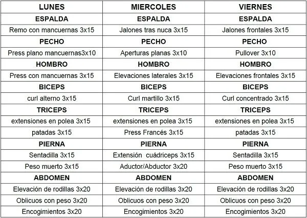 MUSCULACION PARA PRINCIPIANTES: tonificar