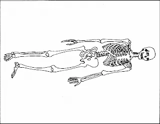 MUSCULO OSEO: SISTEMA OSEO