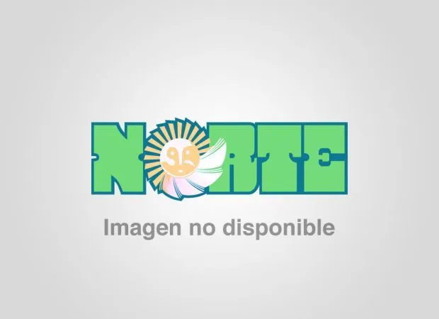 Los musgos | Diario Norte Chaco