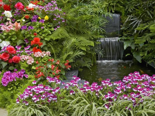 Música, arte y muchas flores se conjugan en la Sociedad Rural - La ... Música, arte y muchas flores se conjugan en la Sociedad Rural - La ...
