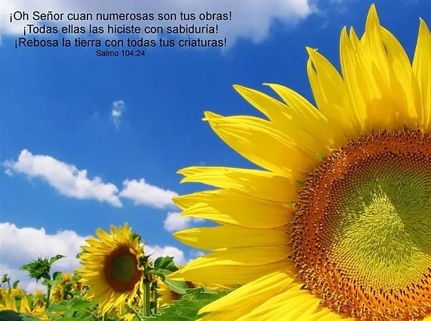 MUSICA CRISTIANA Y ALABANZAS | Fondos de Pantalla MUSICA CRISTIANA Y ALABANZAS | Fondos de Pantalla