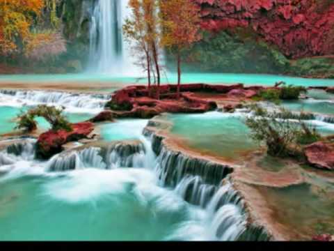 Musica de Relajacion. Sonidos del Bosque. Ideal para dormir. - YouTube