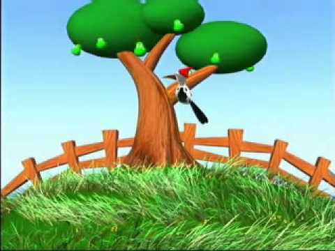 Musica y videos infantiles - EL PAJARO CARPINTERO - YouTube