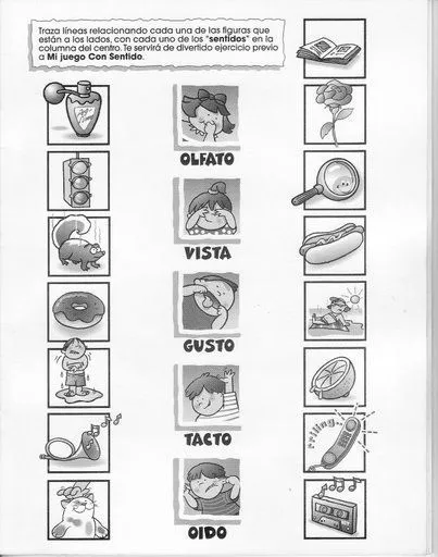 Mutis grado 1º 2014: febrero 2014