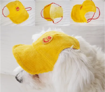 MuyVariado.com: Moldes de Ropa y Accesorios Para Perros, Fáciles ... MuyVariado.com: Moldes de Ropa y Accesorios Para Perros, Fáciles ...