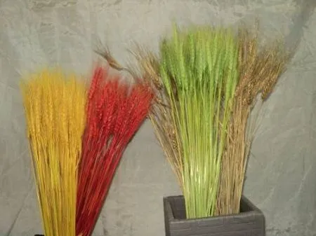 MuyVariado.com: Ramo con Espigas de Trigo Pintadas, Paso a Paso