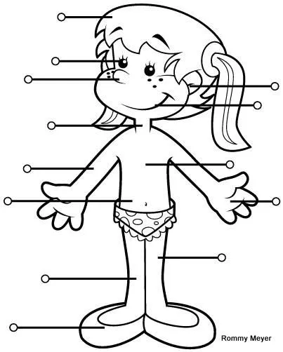 Mi cuerpo para colorear - Imagui