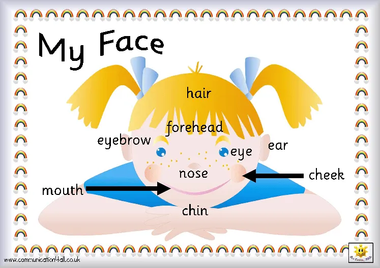 My Face - Las partes de la cara - English pa' kichitines My Face - Las partes de la cara - English pa' kichitines