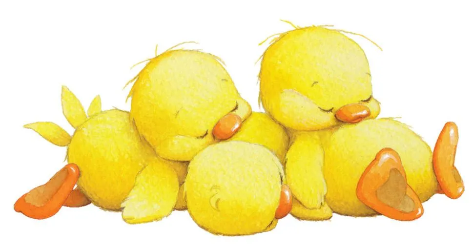 My Little House Silvita Blanco, Patos Patitos Cute Imágenes My Little House Silvita Blanco, Patos Patitos Cute Imágenes