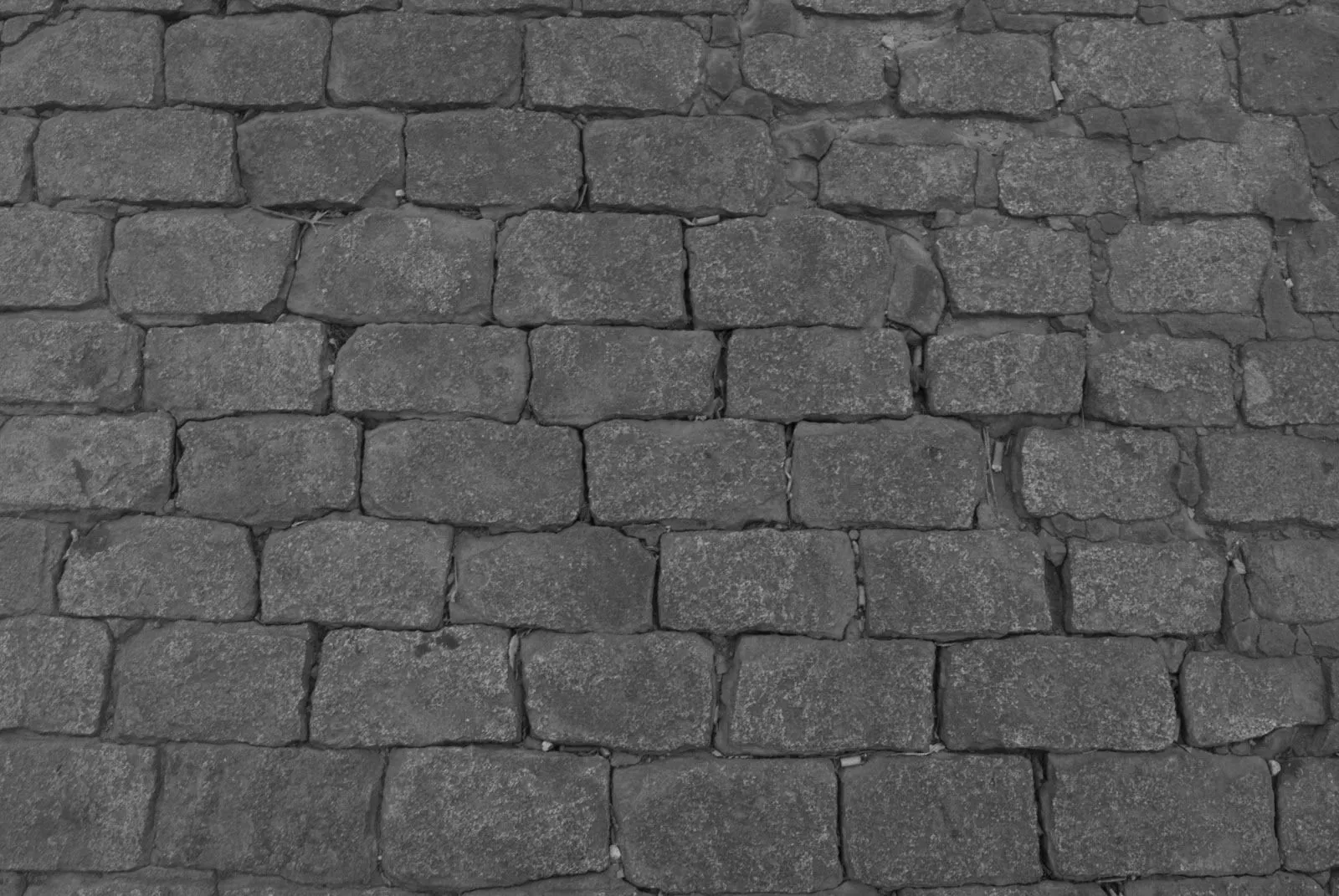 My Photographies and Designs: Composición 08/ My Photographies and Designs: Composición 08/