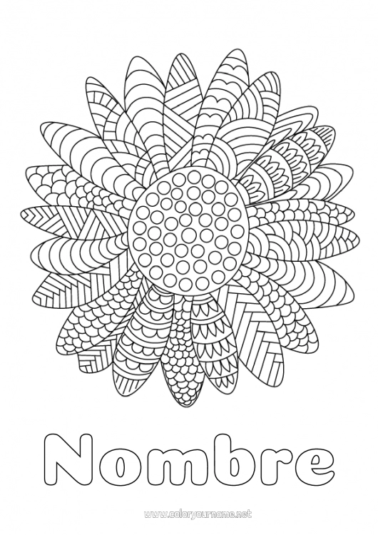 Nº de colorear 1909 - Flores Girasol Dibujos complejos para colorear Nº de colorear 1909 - Flores Girasol Dibujos complejos para colorear