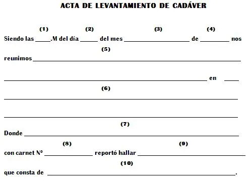 n2.jpg