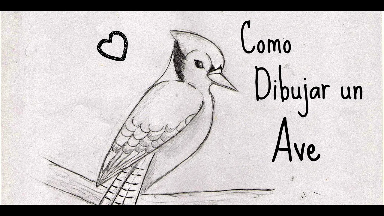 como nace un ave Colouring Pages (page 3)