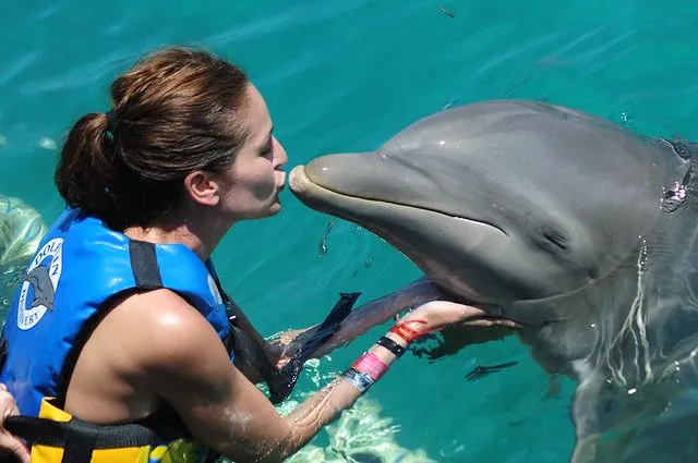 Nadando con delfines en Cancún - Andurriante Nadando con delfines en Cancún - Andurriante