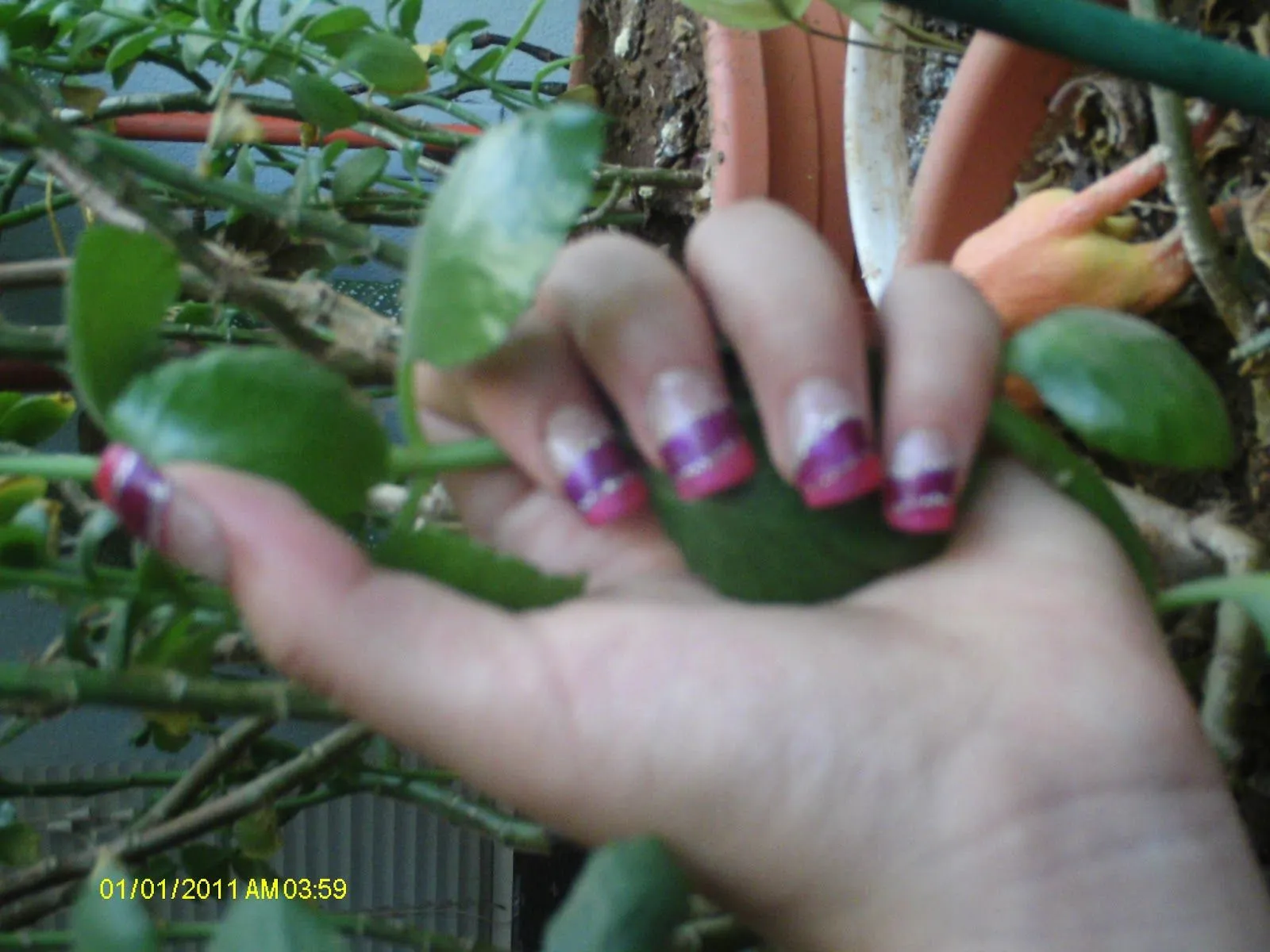 Nallely Nails