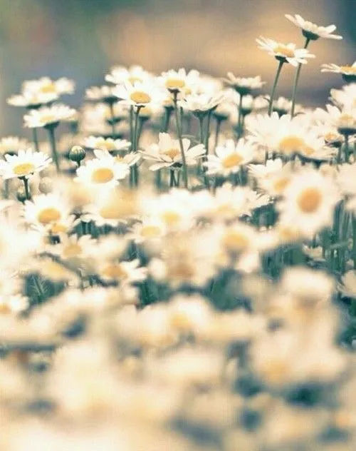 name=margaritas} | Tumblr