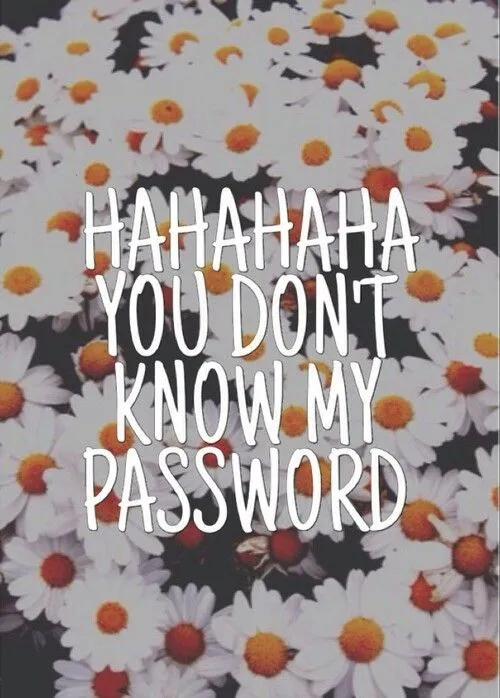 name=margaritas} | Tumblr