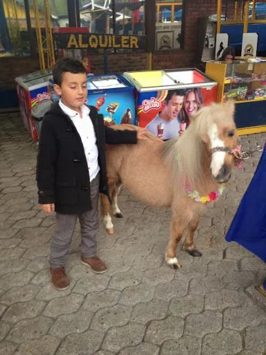 Nananananananana Townmaaan﻿