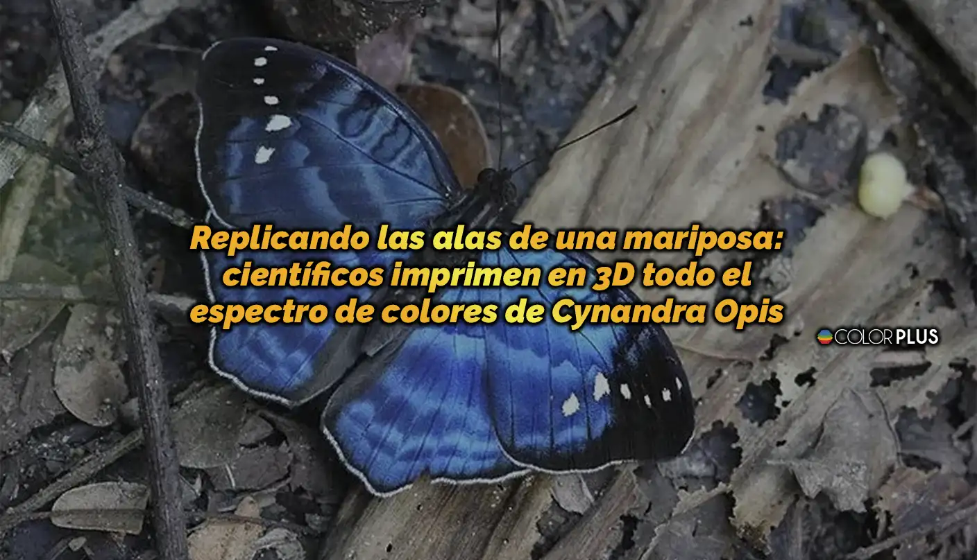 Nanoestructuras impresas en 3D: replicando alas de una mariposa Nanoestructuras impresas en 3D: replicando alas de una mariposa
