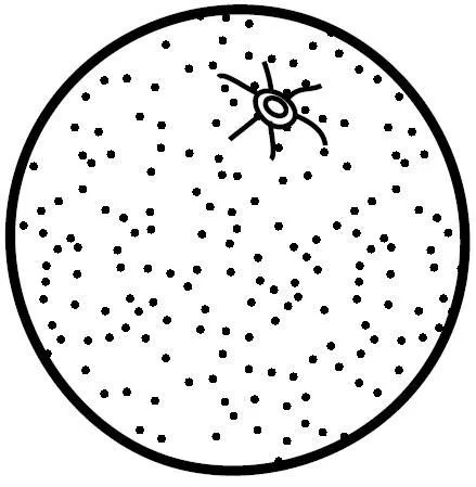 Naranja para colorear e imprimir - Imagui