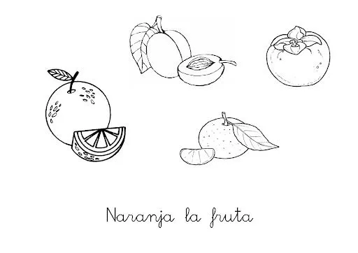 NARANJA DIBUJOS PARA COLOREAR EN NARANJA | infantil 2.0