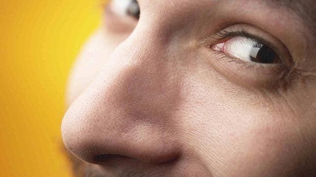 Por qué las narices tienen formas diferentes? - ABC.es Por qué las narices tienen formas diferentes? - ABC.es