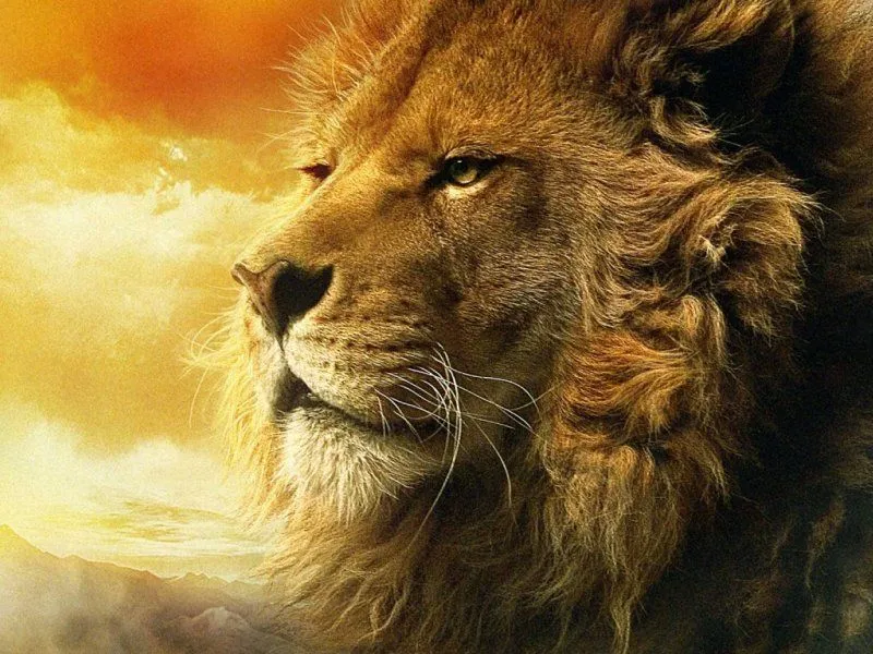 Narnia en Español - :. Narnia > Multimedia > Wallpapers Aslan Narnia en Español - :. Narnia > Multimedia > Wallpapers Aslan