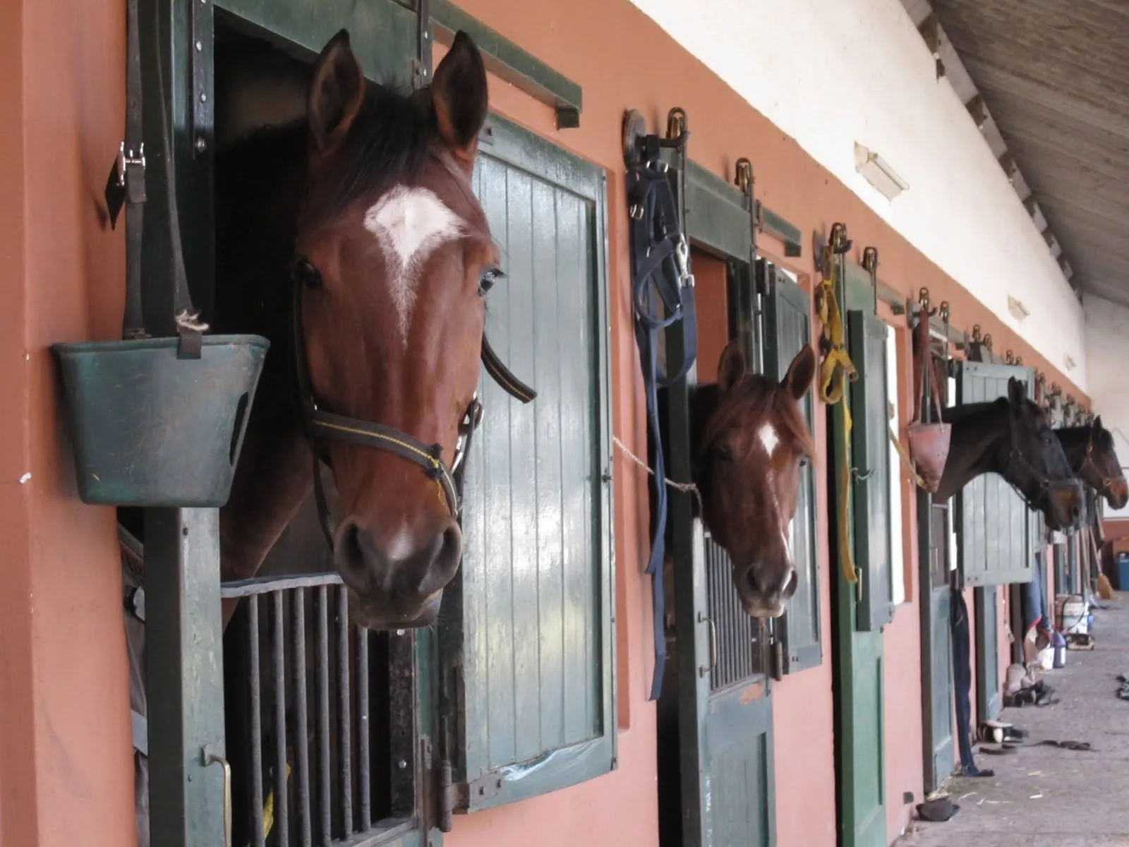 nati | online: Caballerizas