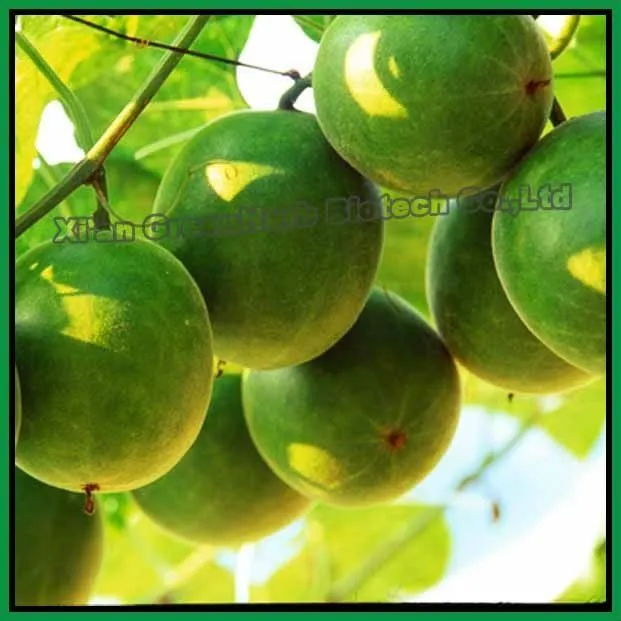 Natural / monje extracto de la fruta / Mogrosides V-Extracto de ... Natural / monje extracto de la fruta / Mogrosides V-Extracto de ...