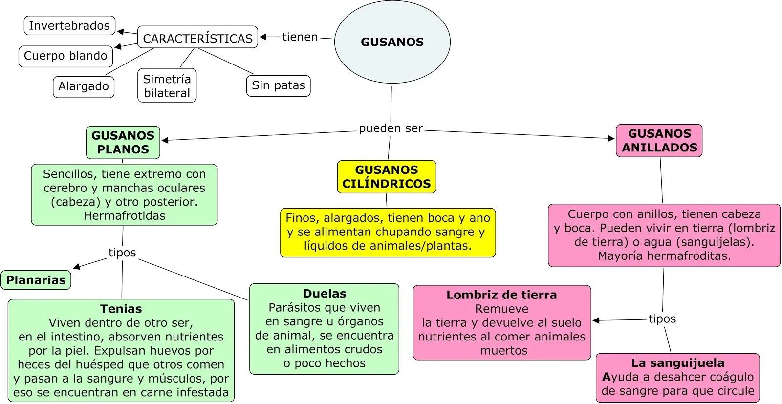 Naturales en el Álvar: Invertebrados