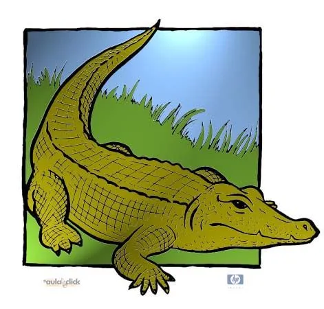 Cocodrilos animados para colorear - Imagui