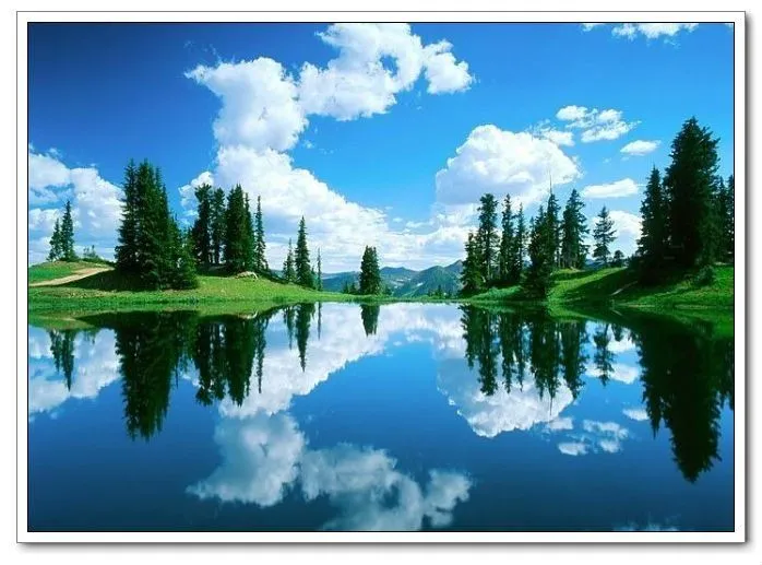 Naturaleza 3D de la foto-Artesanía Plástico-Identificación del ... Naturaleza 3D de la foto-Artesanía Plástico-Identificación del ...