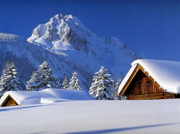 Naturaleza y Medio Ambiente: Fondo de escritorio invernal Naturaleza y Medio Ambiente: Fondo de escritorio invernal