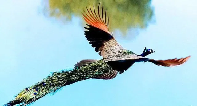Naturaleza | camaraviajera | Página 3