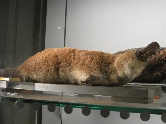 Naturaleza | Eclecticomania | Página 2