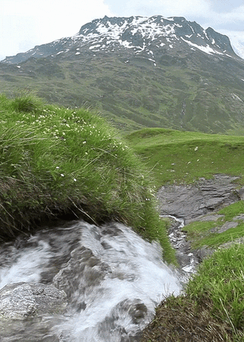 Naturaleza GIFs - Find & Share on GIPHY