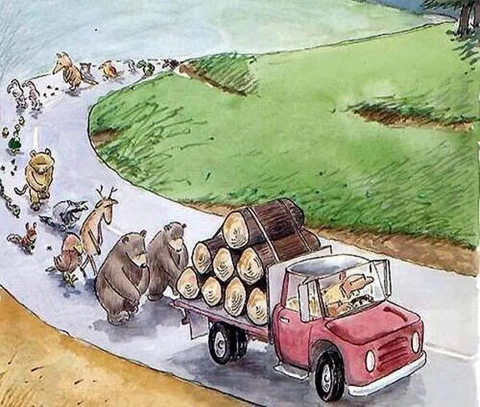 CUIDEMOS LA NATURALEZA: LA DEFORESTACION