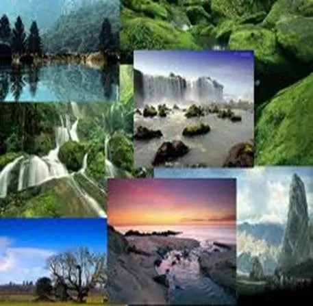 La naturaleza (página 2) - Monografias.com