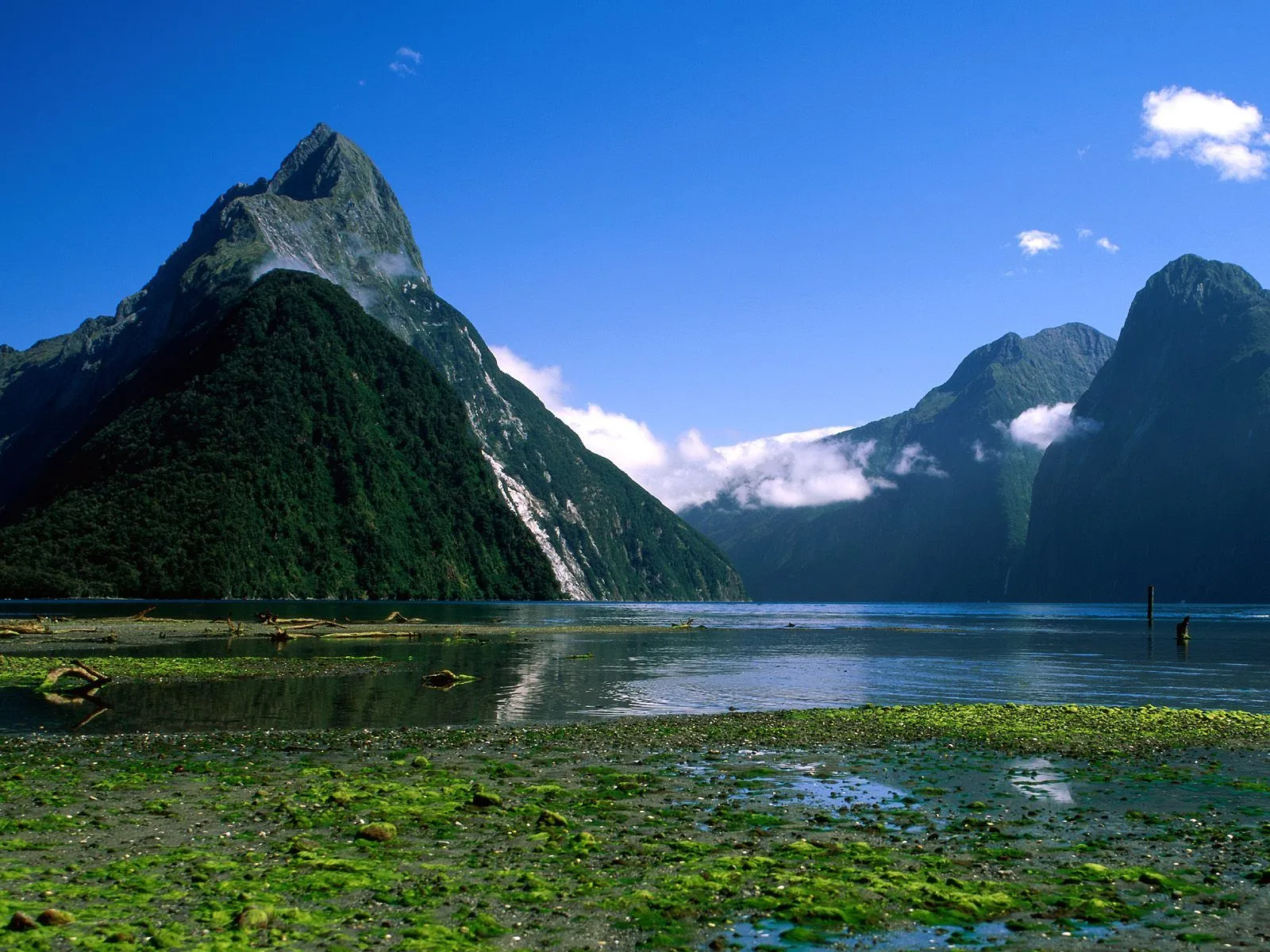Naturaleza y Paisajes de Nueva Zelanda en HD - Primera Parte ... Naturaleza y Paisajes de Nueva Zelanda en HD - Primera Parte ...