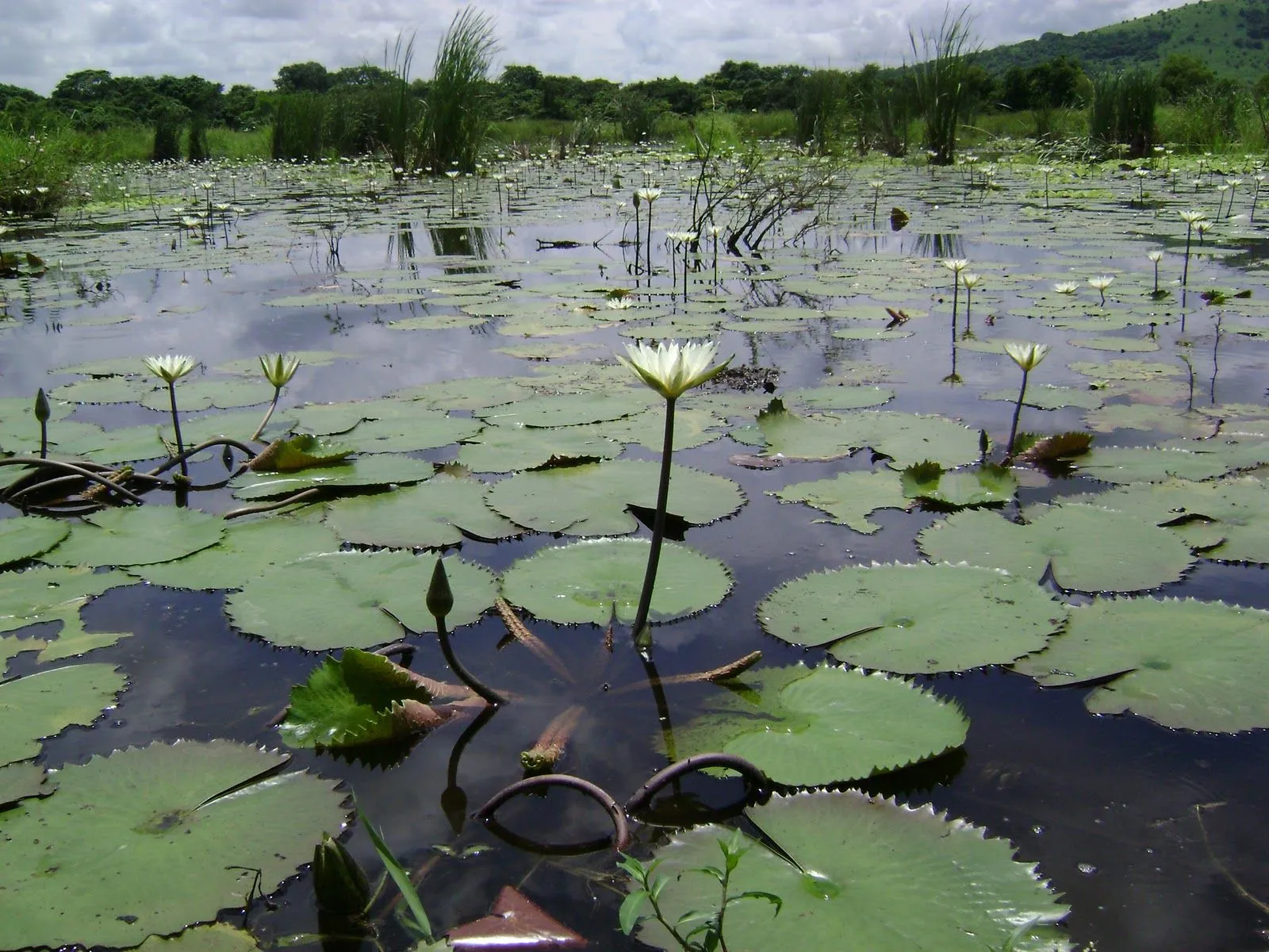 Naturaleza | Planeta marcela! | Página 3