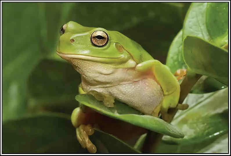 Naturaleza a raudales: Un cuento para los niños en su día ... Naturaleza a raudales: Un cuento para los niños en su día ...