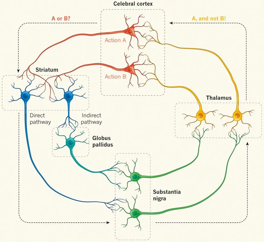 Nature | Francis (th)E mule Science's News