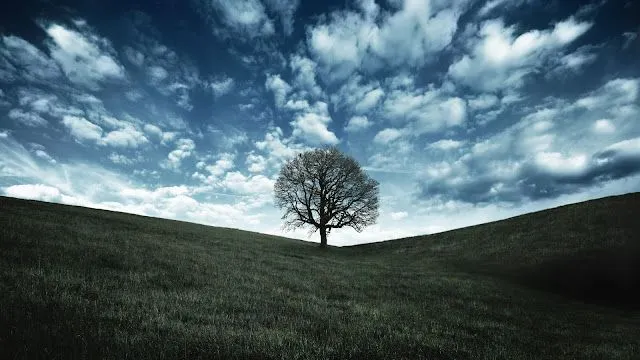 Nature Full HD Images Part2 | My Pictures World Nature Full HD Images Part2 | My Pictures World