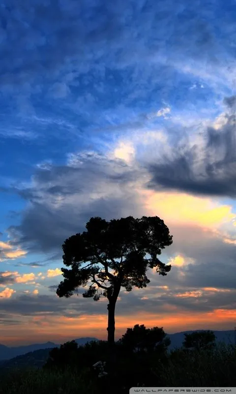 Nature Full HD Wallpaper National Geographic HD desktop wallpaper ... Nature Full HD Wallpaper National Geographic HD desktop wallpaper ...