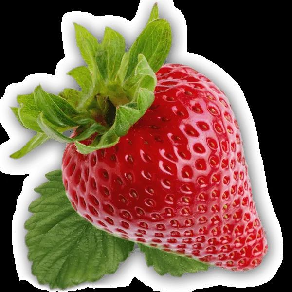 Naturipe Farms Berries | Strawberries - Blueberries - Raspberries ... Naturipe Farms Berries | Strawberries - Blueberries - Raspberries ...